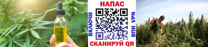 сколько стоит  ОМГ ОМГ ТОР  Печенье с ТГК конопля  Чкаловск 