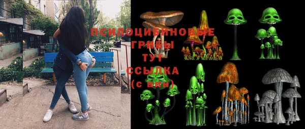 кокс Алексеевка